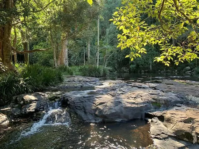 Nordic Star Maleny - Sleeps 10, Stroll To Town, See Platypus In The Lake! Australië