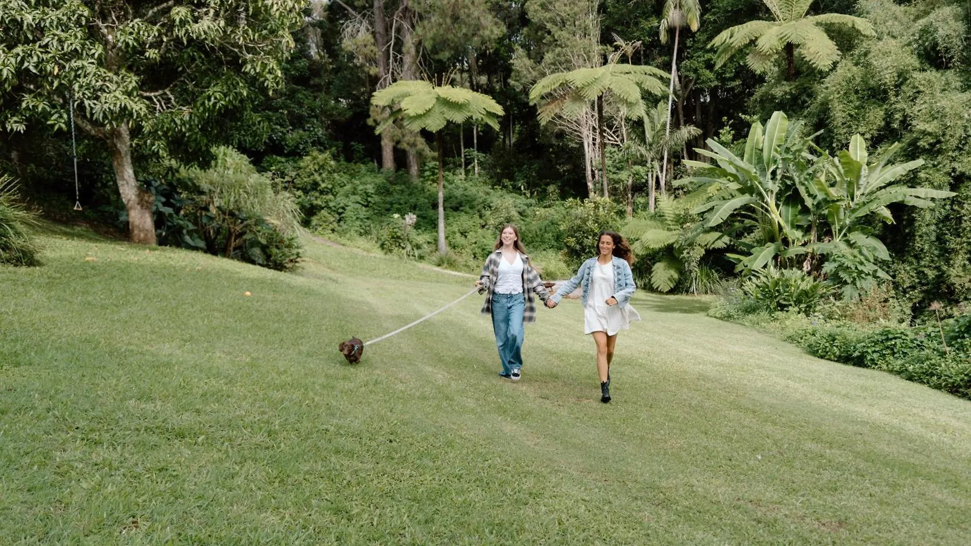 Nordic Star Maleny - Sleeps 10, Stroll To Town, See Platypus In The Lake! Vakantiehuis