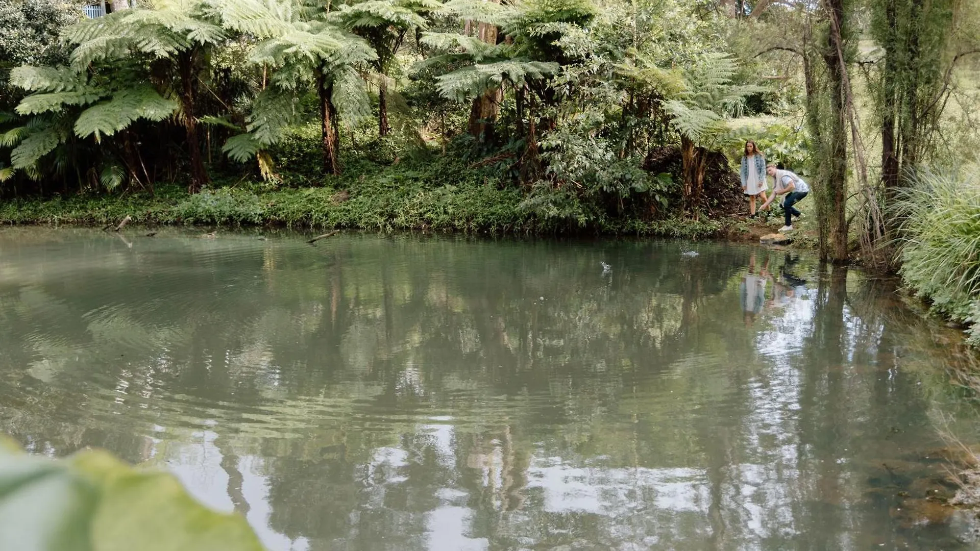 Nordic Star Maleny - Sleeps 10, Stroll To Town, See Platypus In The Lake! Australië